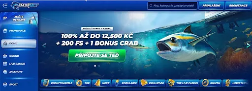Bonusové nabídky v online kasinu Bassbet